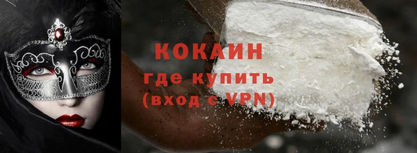 прущие грибы Горнозаводск