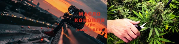 гидра Горно-Алтайск