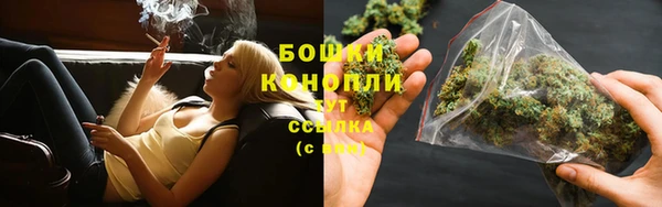 прущие грибы Горнозаводск