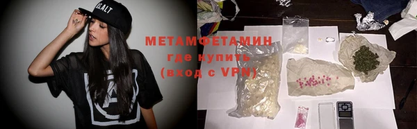 прущие грибы Горнозаводск