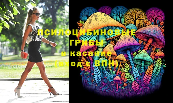 прущие грибы Горнозаводск