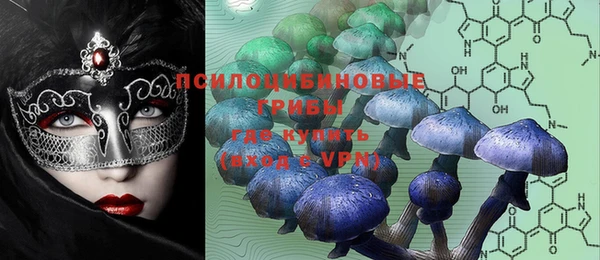 хмурый Горняк