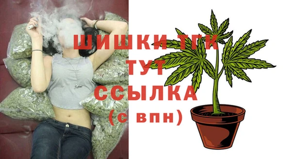 прущие грибы Горнозаводск