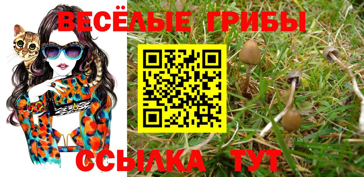 Псилоцибиновые грибы ЛСД Губкин