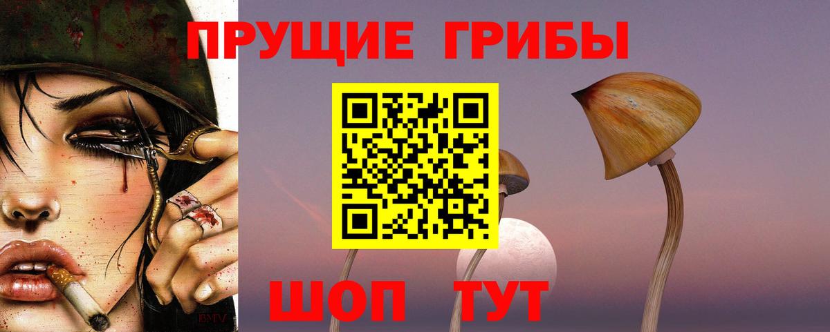ГАШ Губкин