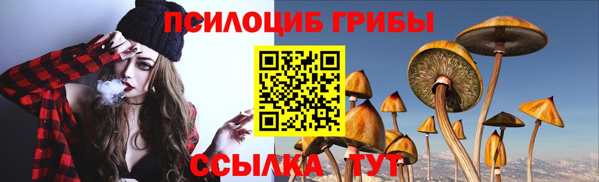 Псилоцибиновые грибы Psilocybe  Вход с VPN  Галлюциногенные грибы Psilocybine cubensis  Губкин 